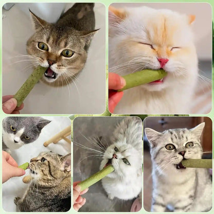 30G Cat Grass Sticks, Freeze Dried Cats Grass Teething Stick, Edible Cat Chew Toy for Teeth Cleaning Dental Health and Hairball Removal9