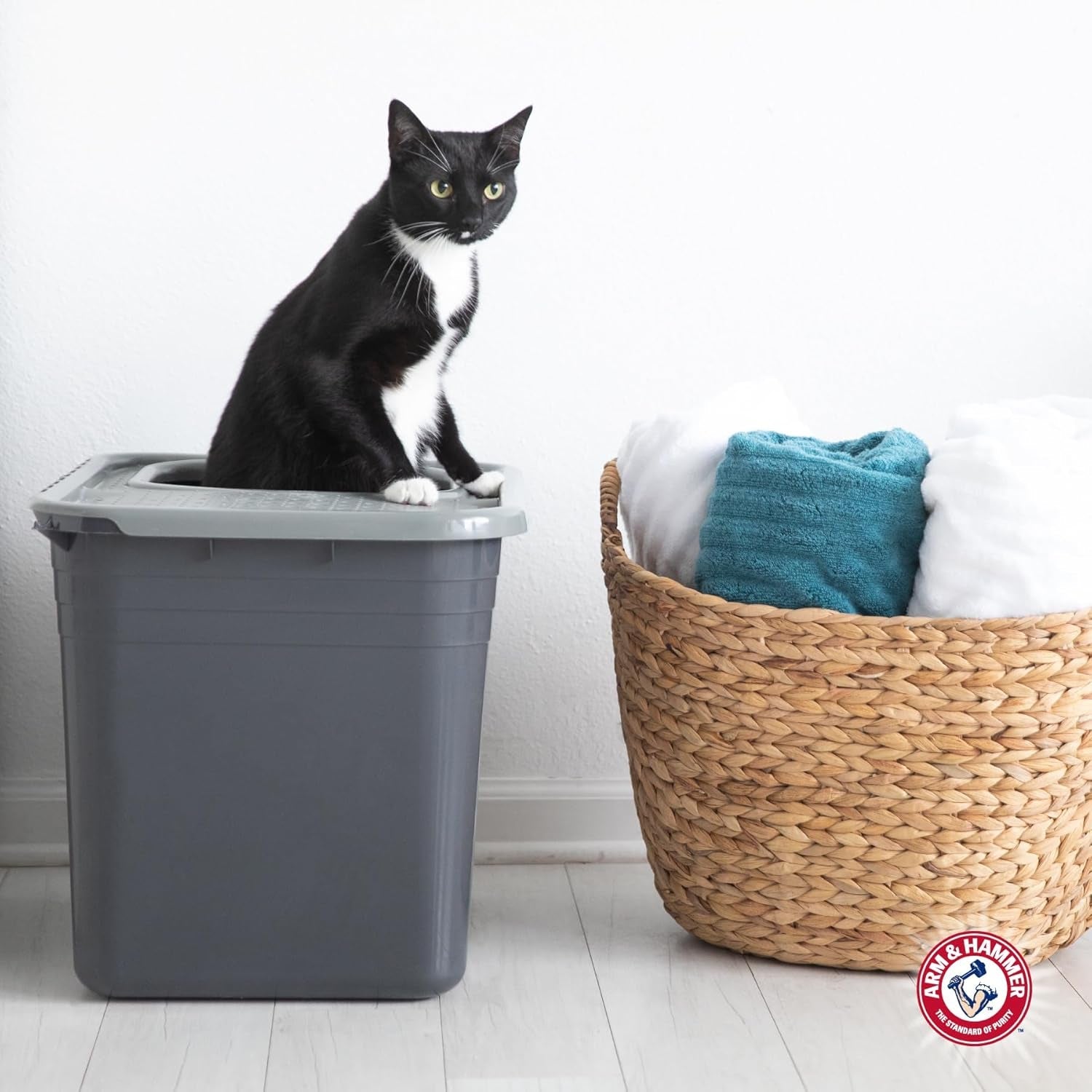 arm-hammer-premium-top-entry-litter-box-with-filter-to-clean-paws-and-microban-made-in-usa
