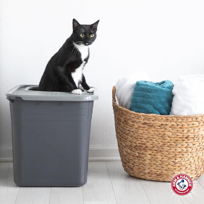 Arm & Hammer Premium Top Entry Litter Box with Filter to Clean Paws and Microban, Made in USA4