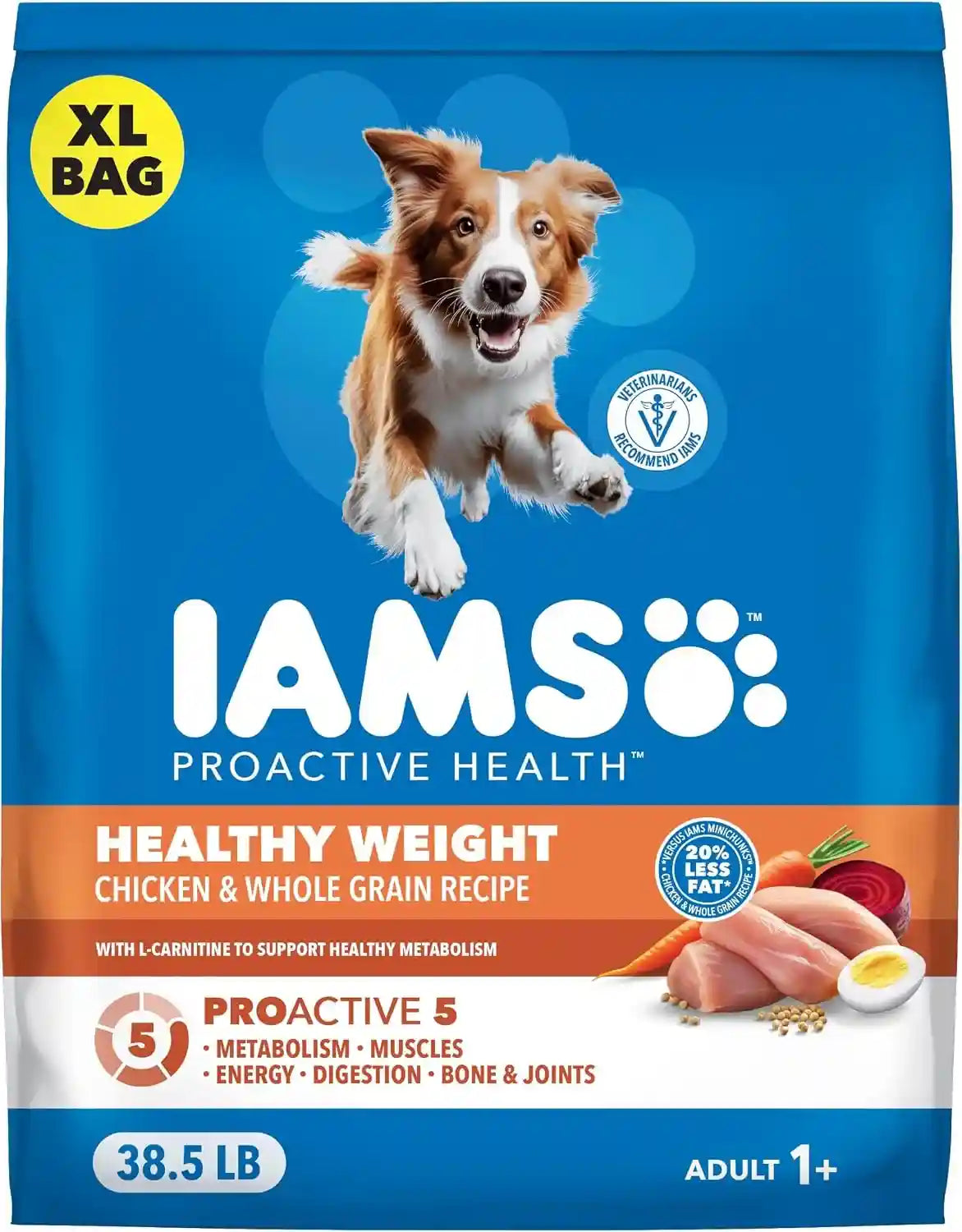 iams-proactive-health-healthy-weight-dry-dog-food-chicken-29-1-lb-real-chicken-1-ingredient-l-carnitine-for-metabolism-strong-muscles-no-fillers-or-artificial-flavors-vet-recommended