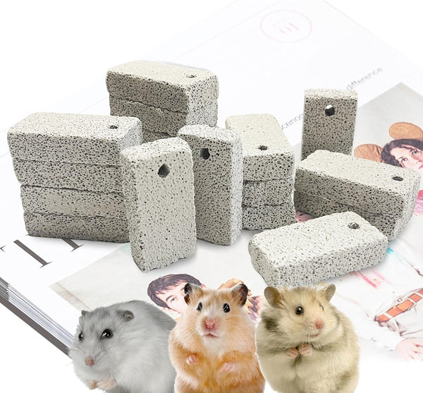18 Pcs Small Animal Pet Lava Bites Chews Toy Mineral Calcium Stone Bunny Teeth Grinding Block for Hamster Chinchilla Rabbit Squirrel Rat Parrot Guinea Pig1