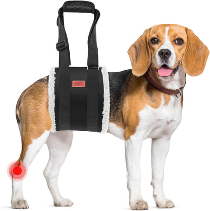 Adjustable Dog Lift Harness Dog Sling for Large Dogs Hind Leg Support Soft Lift Support and Rehab Harness for Weak Rear Legs, Helps Senior, Injured, Disabled and after ACL Surgery Dogs Large10