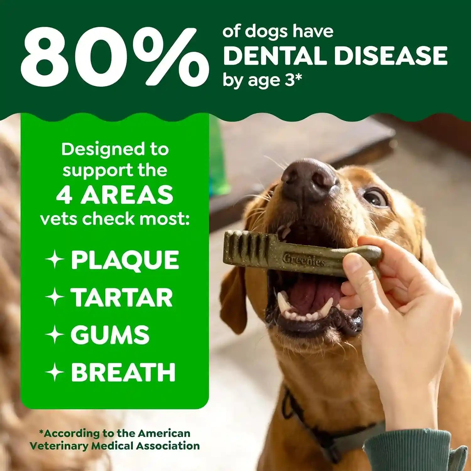 greenies-teenie-original-natural-dental-dog-treats-chicken-43-count-clinically-proven-veterinarian-recommended-47-less-tartar-40-less-plaque-in-28-days-for-dogs-5-15-lbs-12-oz-pack