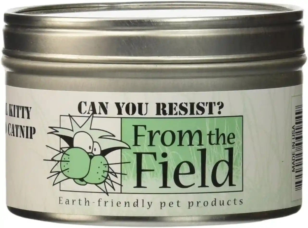 from-the-field-fine-ground-stalkless-catnip-premium-usa-grown-catnip-for-toys-playtime-fresh-potent-non-toxic-eco-friendly-safe-for-kittens-cats-resealable-6-oz-tub