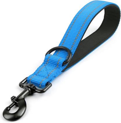 Joytale Short Dog Leash for Close Control & Training, 18", Black | Padded Comfort Handle, Reinforced Nylon Webbing, Secure Metal Clip, for Busy Streets & Heel Training18
