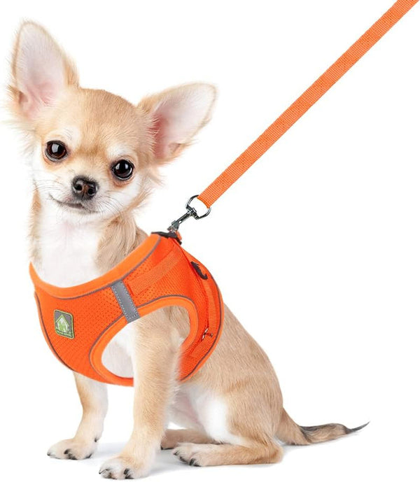 Feimax Dog Harness and Leash Set, No Pull Breathable Soft Mesh Puppy Vest Harness Reflective Adjustable Pet Harnesses for Small Medium Dogs and Cats - Outdoor Easy Control for Walking10