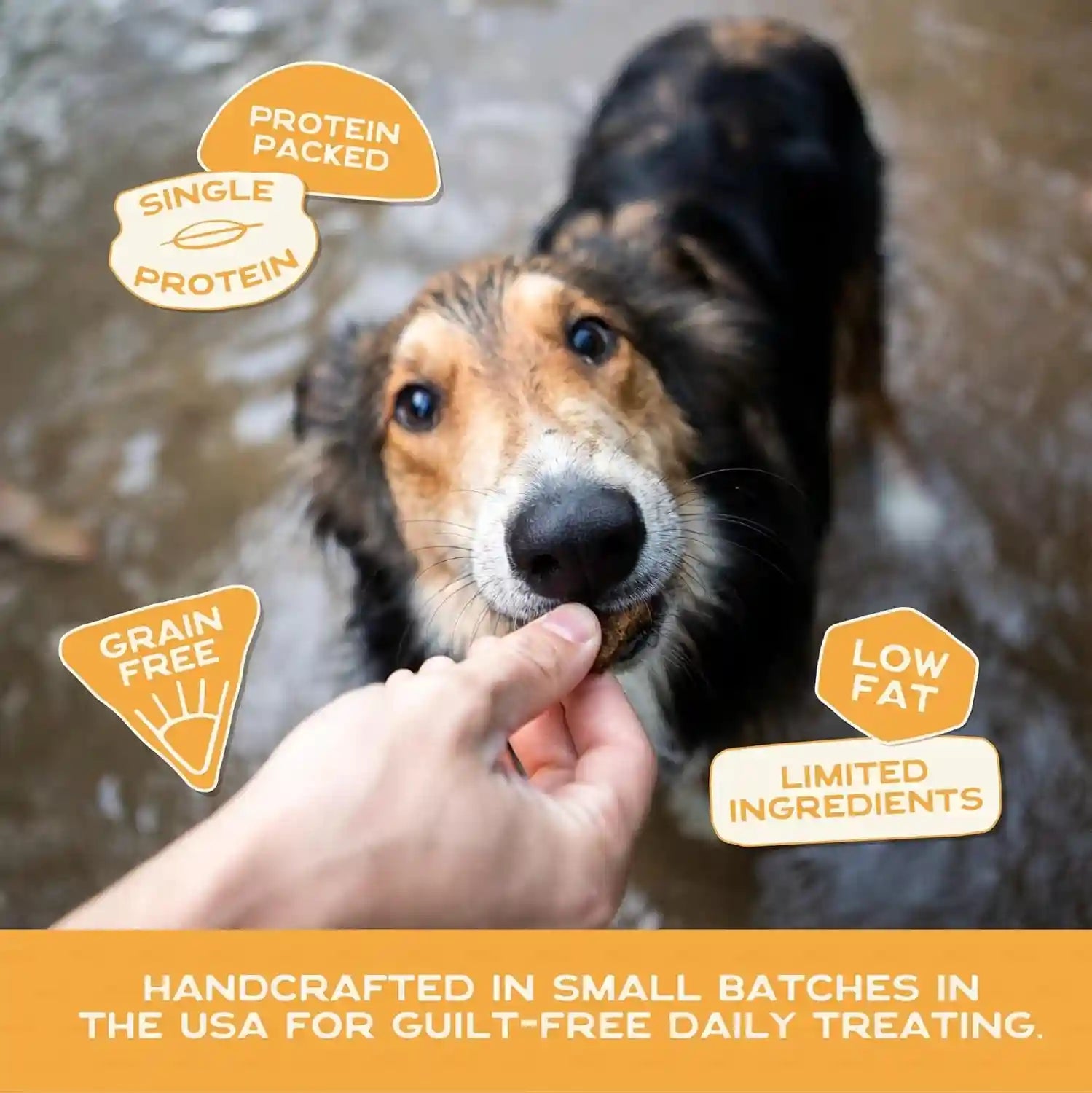 smart-cookie-healthy-soft-dog-treats-rabbit-pumpkin-grain-free-limited-ingredient-training-treats-for-dogs-with-sensitive-stomach-allergies-natural-novel-protein-made-in-the-usa-5oz