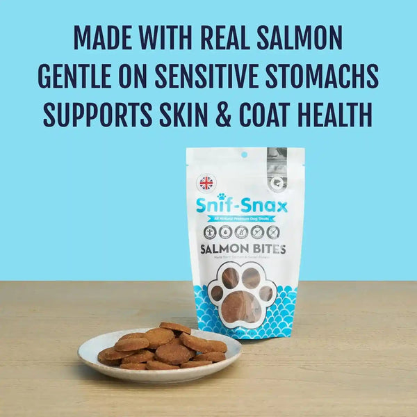Snif-Snax Salmon Bites Dog Treats 3 Pack, All Natural Human-Grade Training Treats for Dogs, Healthy Grain-Free Puppy & Adult Rewards, Protein Rich Soft Salmon Snacks4