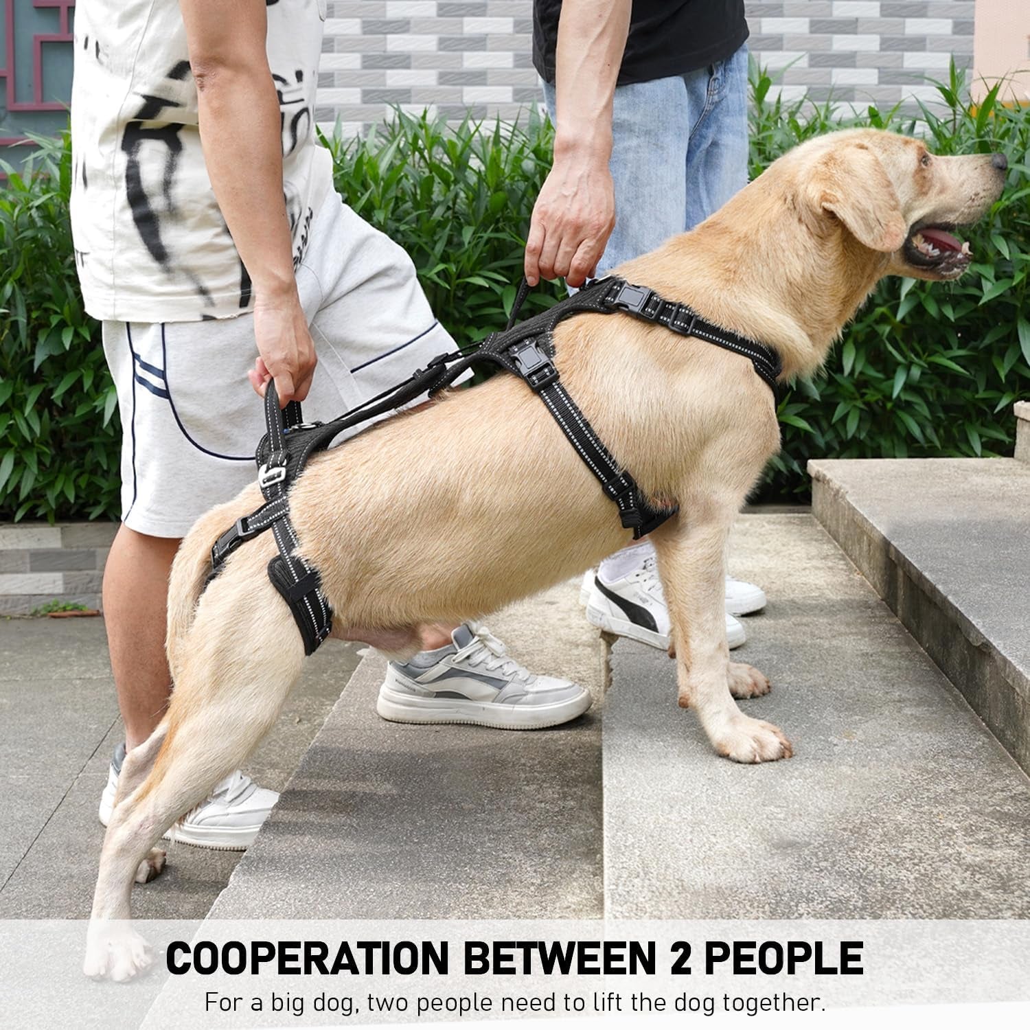 coodeo-mobility-dog-lift-harness-support-sling-walking-sling-for-dogs-pet-rear-leg-rehabilitation-support-vest-dog-carrier-for-senior-dogs-with-joint-injuries-arthritis-up-stair-black-l