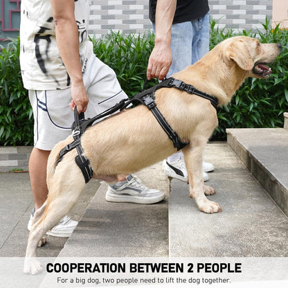 COODEO Mobility Dog Lift Harness, Support Sling & Walking Sling for Dogs, Pet Rear Leg Rehabilitation Support Vest, Dog Carrier for Senior Dogs with Joint Injuries, Arthritis, up Stair (Black, L)3