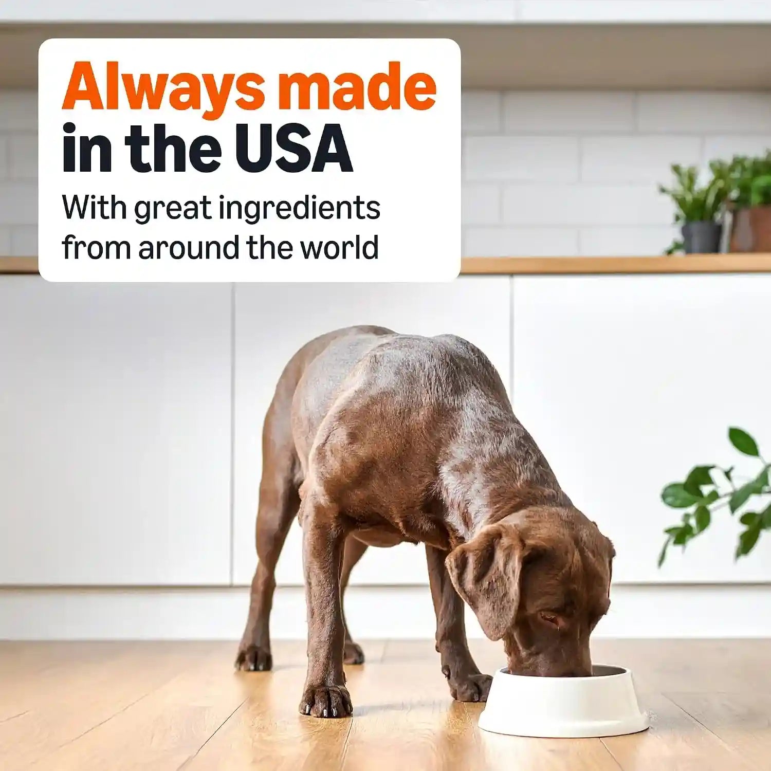 amazon-basics-wet-dog-food-meaty-loaf-variety-pack-filet-mignon-flavor-and-chicken-rice-dinner-made-with-real-chicken-and-beef-13-2-oz-can-6-cans-of-each-flavor-12-cans-in-total