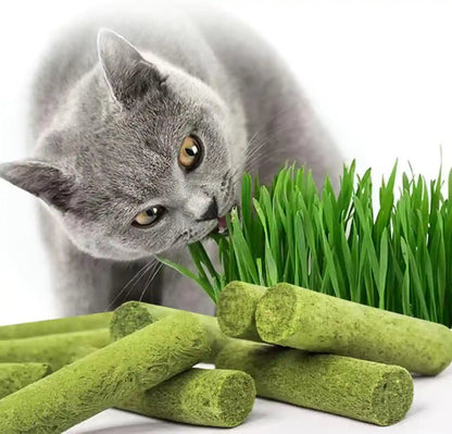 30G Cat Grass Sticks, Freeze Dried Cats Grass Teething Stick, Edible Cat Chew Toy for Teeth Cleaning Dental Health and Hairball Removal1