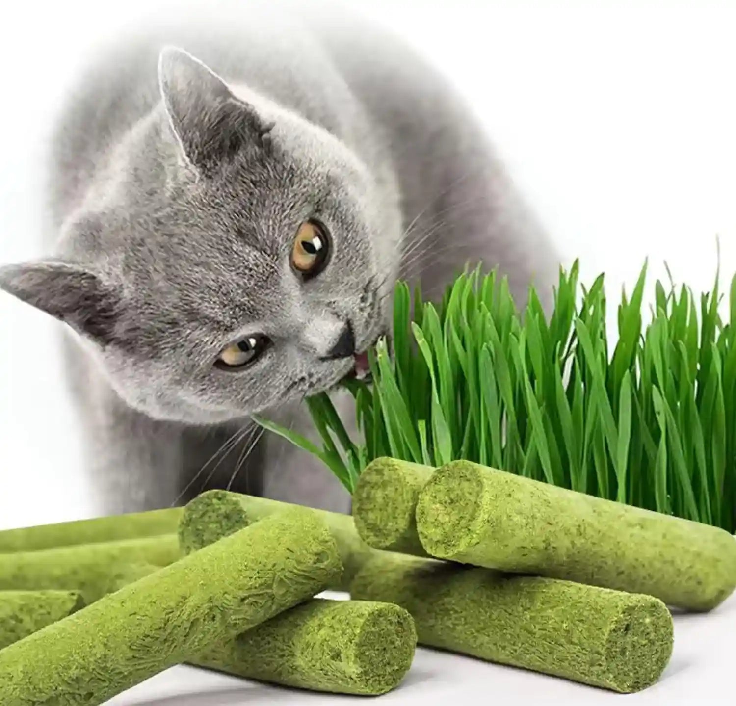 30g-cat-grass-sticks-freeze-dried-cats-grass-teething-stick-edible-cat-chew-toy-for-teeth-cleaning-dental-health-and-hairball-removal