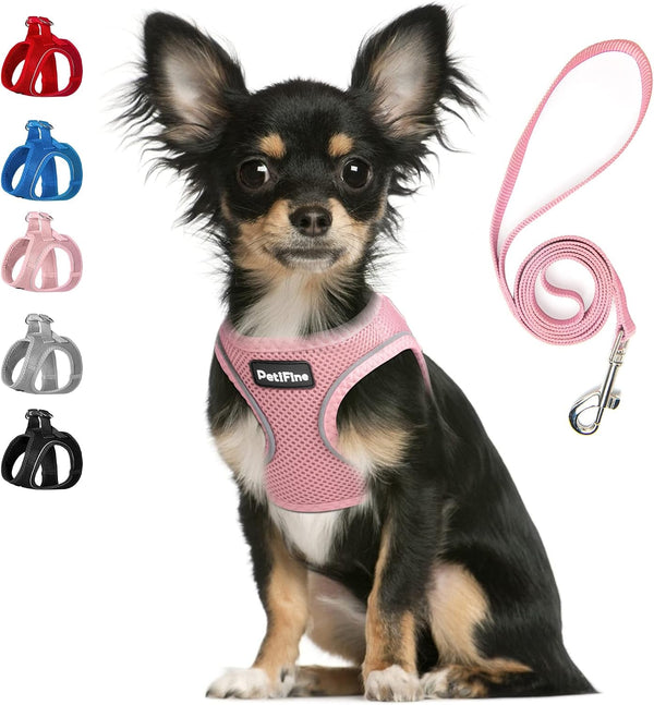 Small Dog Harness and Leash Set Breathable Step-In Puppy Cat Harness,Xs | Reflective for Safe Easy Walking,Soft Light Puppy Vest,Escape Proof,No Pull Harness for Dogs,All Weather Air Mesh Harness1