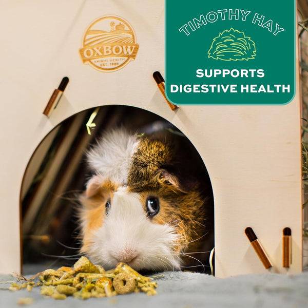 Oxbow Forage Wise Adult Guinea Pig Food, Foraging Pellet Mix, 4 Lb | Guinea Pig Pellets, Foraging Mix with Timothy Hay and Vitamin C, Prevents Selective Feeding, No Artificials, Made in USA5