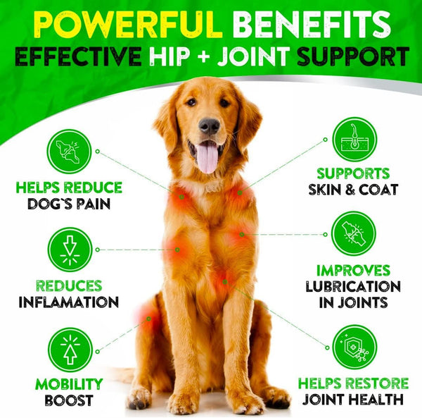 Hemp Hip and Joint Supplement for Dogs - Glucosamine for Dogs - 170 Dog Joint Pain Relief Treats - Chondroitin, Hemp Oil, MSM - Mobility & Flexibility Support - Advanced Care Health - Made in USA2