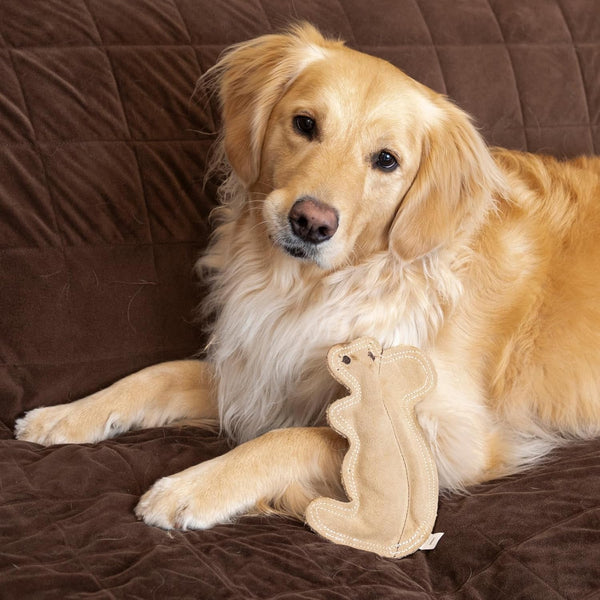 SPOT Dura-Fused Leather Squirrel Dog Toy – Real Leather & Jute Fabric, Double-Stitched & Durable, Soft Stuffed Squeaky Interactive Chew Toy for Moderate Chewers, Small & Medium Dogs, 8In15