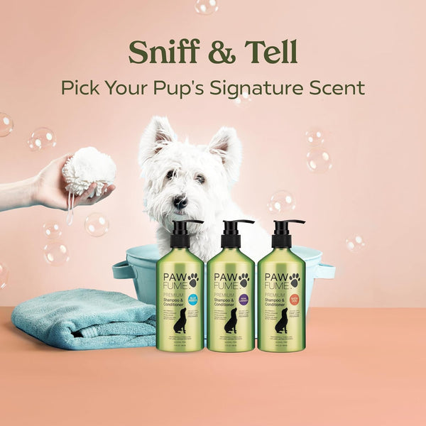 PAWFUME Deshedding Dog Shampoo and Conditioner, Show Dog, 1-Pack – Nourish & Detangle for Silky Soft Coat – Probiotic, Deep-Cleaning, Ph-Balanced Formula – Salon-Quality Shampoo for Dogs11