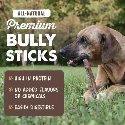 Mighty Paw 12" Bully Sticks for Dogs - Large, Medium and Small Breeds Chew | Single Ingredient, Grass-Fed, Lower Odor, 5 Pack, High Protein, Boredom Buster, All-Natural Sticks2