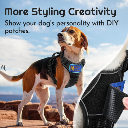 Eagloo Dog Harness No Pull for Large Dogs, Easy on & off with 3 Buckles | No Choke with Front Clip, Adjustable Fit, MOLLE System, Reflective Vest, Easy Control for Walking, Black, Large3