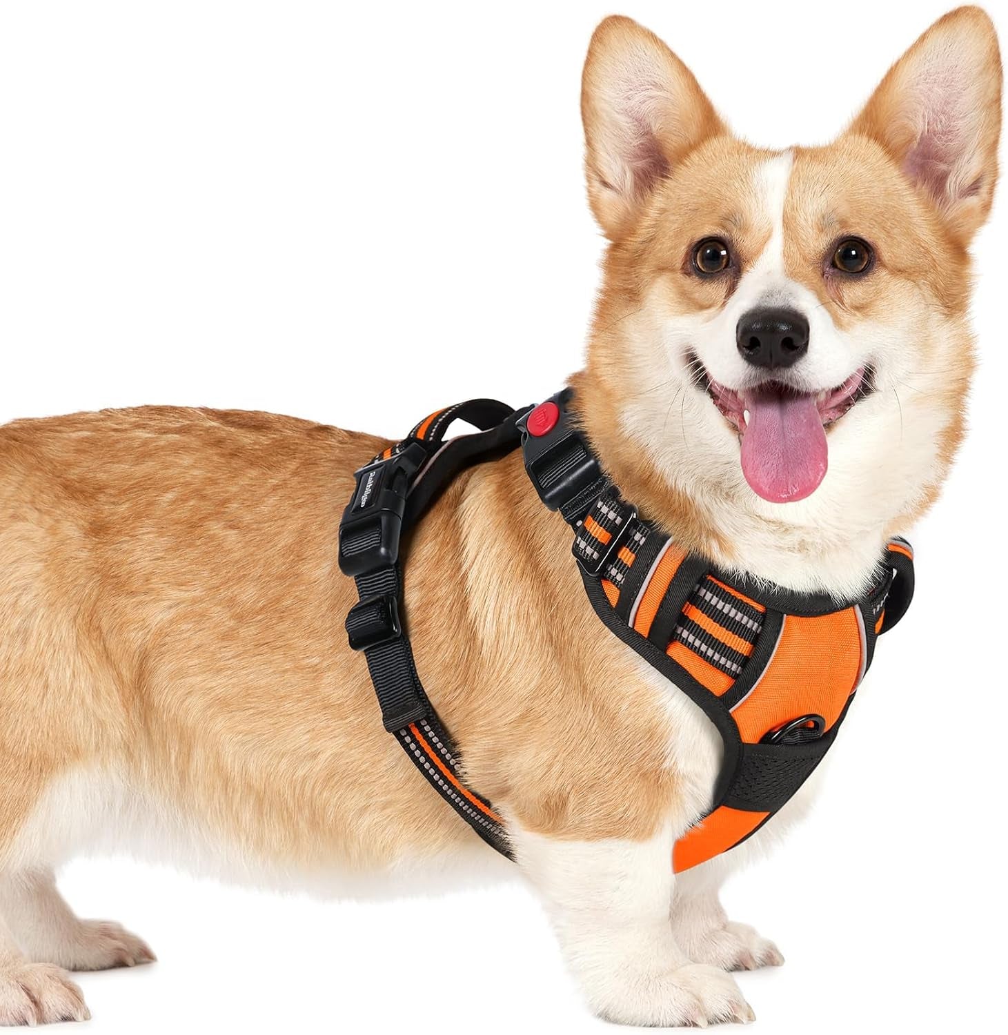 rabbitgoo-dog-harness-medium-sized-updated-easy-on-off-with-3-buckles-no-pull-no-choke-walking-with-2-clips-and-handle-adjustable-soft-reflective-blue-medium