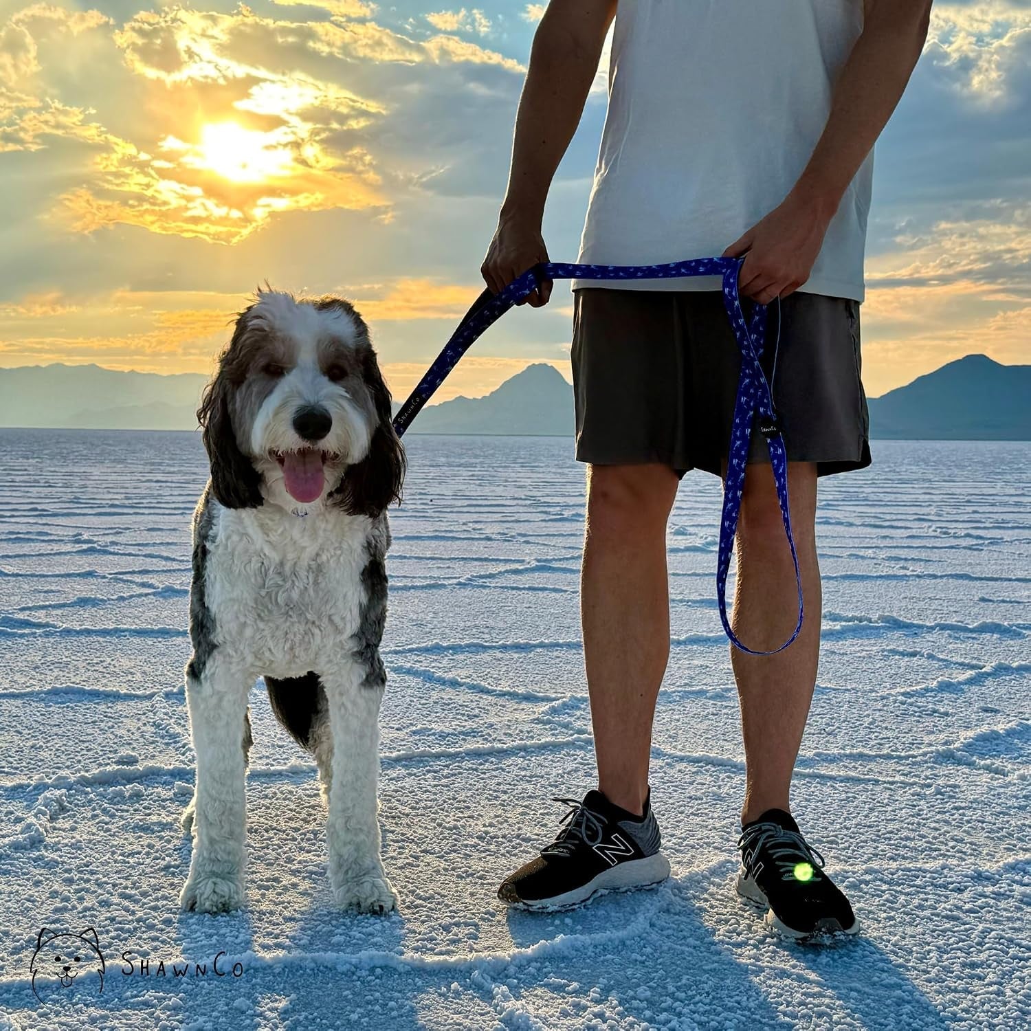 shawnco-dream-walk-dog-leash-premium-nylon-pet-leash-with-soft-neoprene-handle-for-small-medium-and-large-dogs-icy-lilac-m-l-6ft-w-2-handles