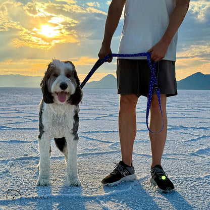 Shawnco Dream Walk Dog Leash- Premium, Nylon Pet Leash with Soft Neoprene Handle for Small, Medium and Large Dogs (ICY Lilac, M/L 6FT W/ 2 Handles)5