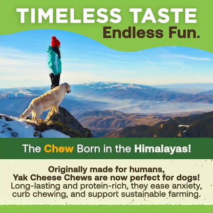 Ecokind Yak Cheese Himalayan Dog Chews, Yak Chews for Large Dogs, 4-5 Bones | 1 Lb, Long Lasting for Aggressive Chewers, Only 3 Ingredient Natural High Protein Dental Dog Treats, No Additives or Lactose6