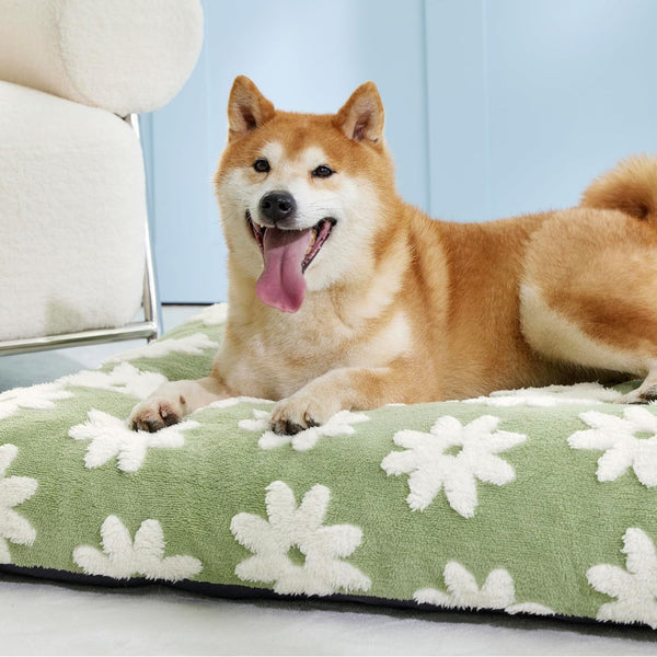 LE SURE Cute Aesthetic Dog Bed for Crate,Jacquard Thick Pet Pillow 35X22 | Shredded Chopped Foam,Modern Plush Crate Cushion Gift for Large Dog, Waterproof Washable Cover, Nonslip Bottom, Green6