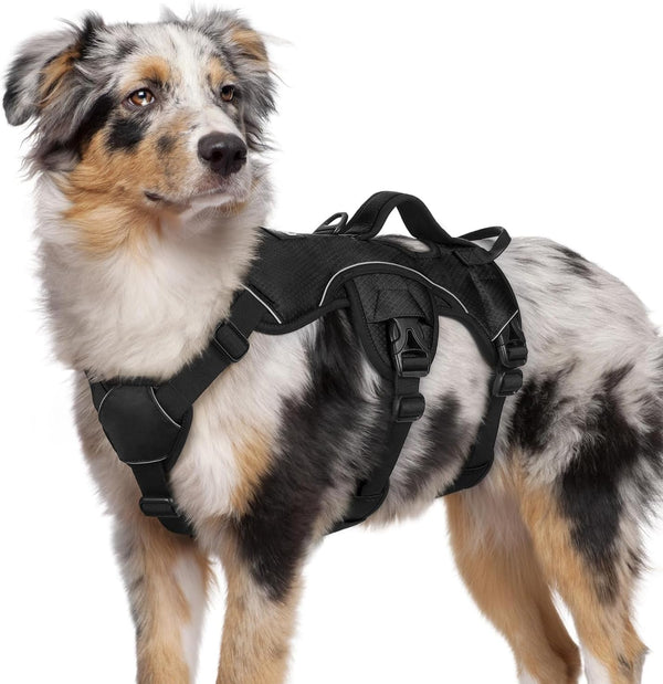 Rabbitgoo Escape Proof Dog Harness for Large, No Pull with Lift Handle | No Escape, Full Soft Padded, Reflective Adjustable Vest, Leash Clip for Walking Hiking Training, Black, Large46