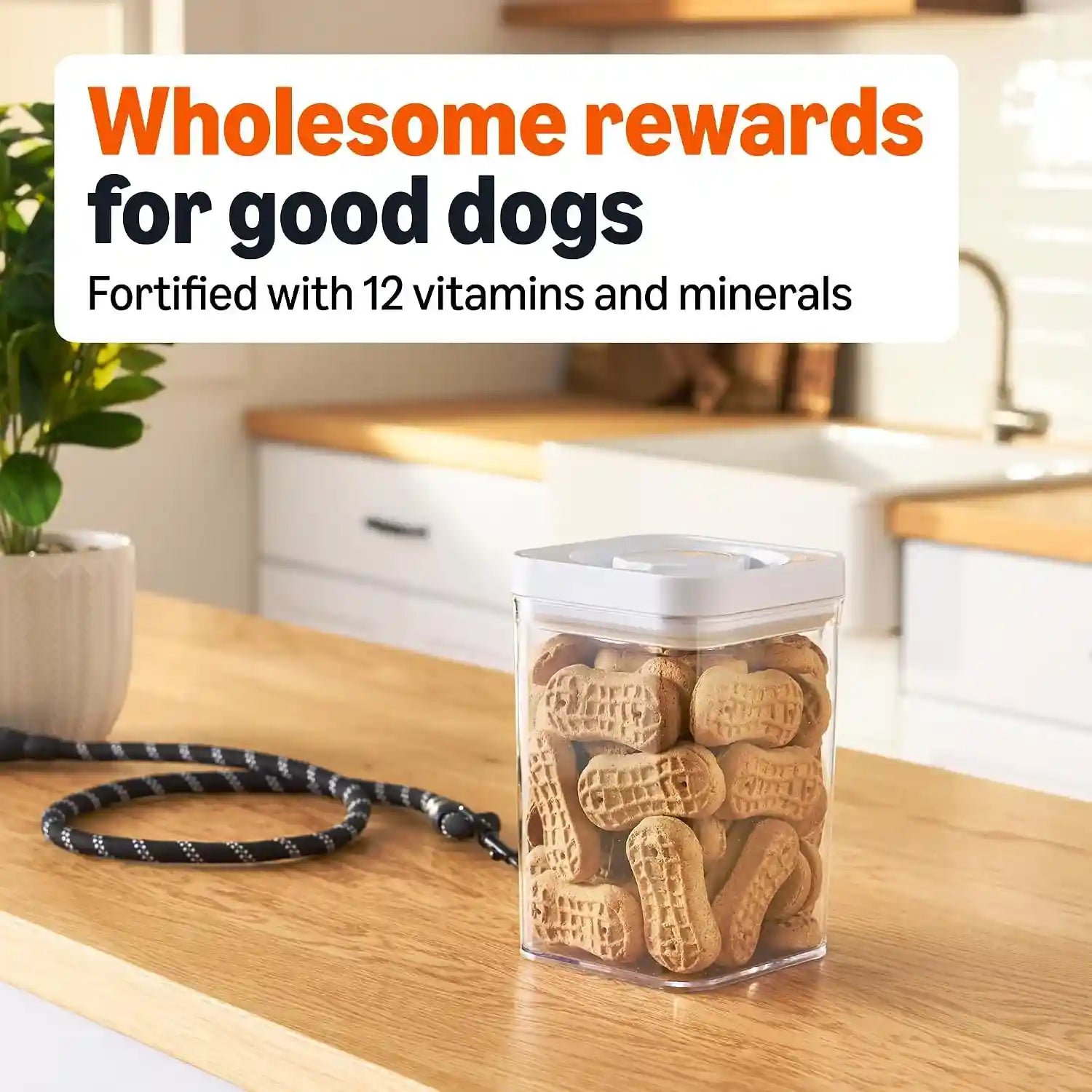 amazon-basics-crunchy-dog-biscuits-peanut-butter-flavor-dog-treats-5-lb-box