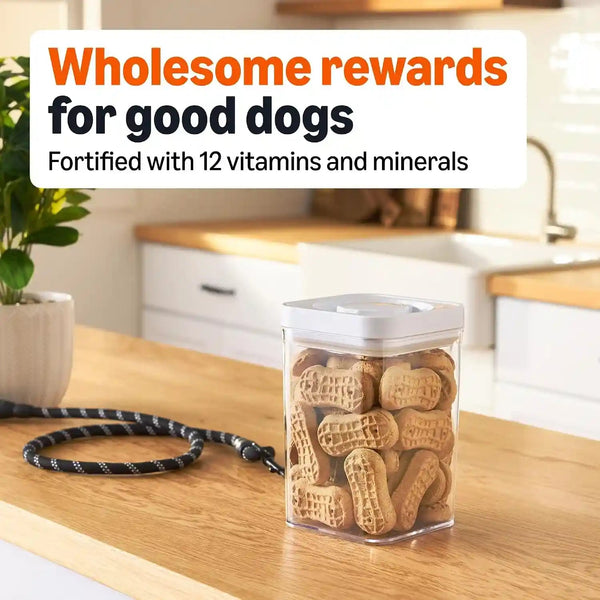 Amazon Basics Crunchy Dog Biscuits Peanut Butter Flavor Dog Treats 5 Lb. Box3