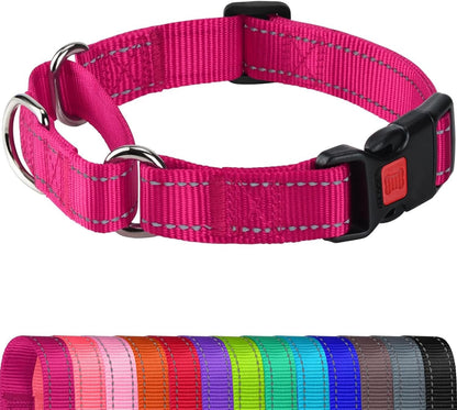Joytale Martingale Collar for Dogs, Escape Proof No Pull, Hotpink, M | Gentle Cinch Stops Pulling without Choking, Safety Lock Buckle, Reflective Stitching for Night Walks, Soft Nylon1