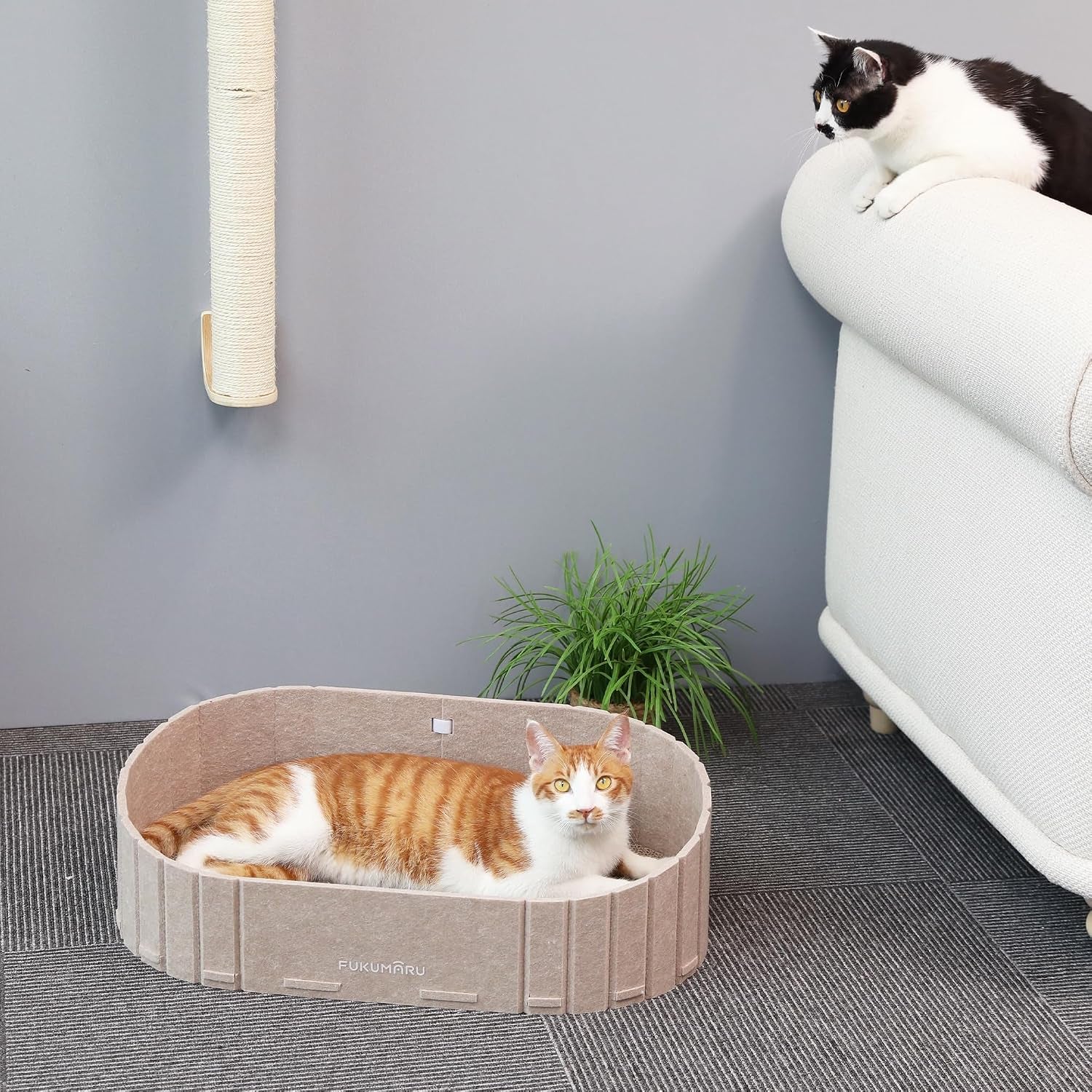 fukumaru-cat-scratcher-24-inch-sofa-shape-cat-scratching-bed-couch-indoor-oval-felt-cat-scratcher-bed-with-reversible-detachable-cat-scratching-boards-round-cats-scratch-pads-refill-beige