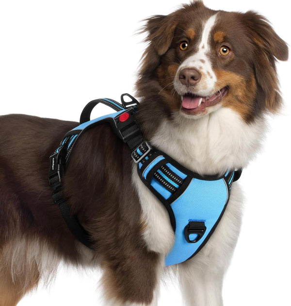 Rabbitgoo Large Dog Harness, Easy Wear with 3 Buckles and Lift Handle | No Pull with Front Clip for Walking, Adjustable Soft Padded, Reflective, Easy Control, Pink, Large9