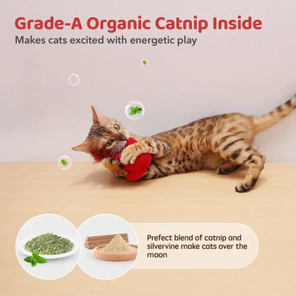 Potaroma Cat Toys Chirping Birds 2 Pcs with Catnip Silvervine, Interactive Cat Kicker, Lifelike Birdie Tweets, Indoor Kitty Kitten Exercise Toys 4.0" | Cat Kicker, Lifelike Birdie Tweets, Indoor Kitty Kitten Exercise Toys 4.0 Inches6