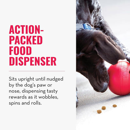 KONG Wobbler - Interactive Dog Toy for Treat Dispensing - Dog Slow Feeder for Healthy Eating - for Medium/Large Dogs3