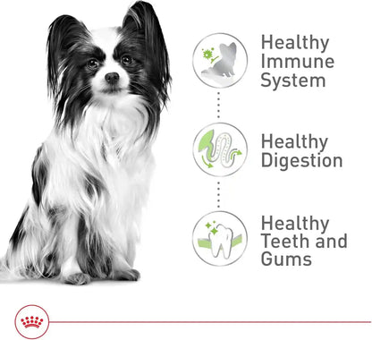 ROYAL CANIN Size Health Nutrition X-Small 7+ Adult Dry Dog Food, 2.5 Lb Bag5