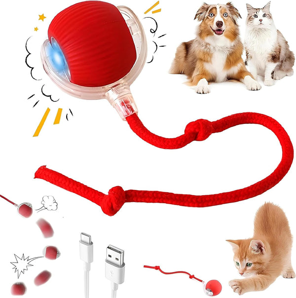 Purrmitive 2026 Durable Interactive Cat Toys for Indoor Cats, Dog Toys Ball, Rolling Pet Ball, Smart Automatic Cat Chase Balls Toy, Interactive Dog Toys Speedy Tail,Kitten & Cat Toys Interactive (Red)1