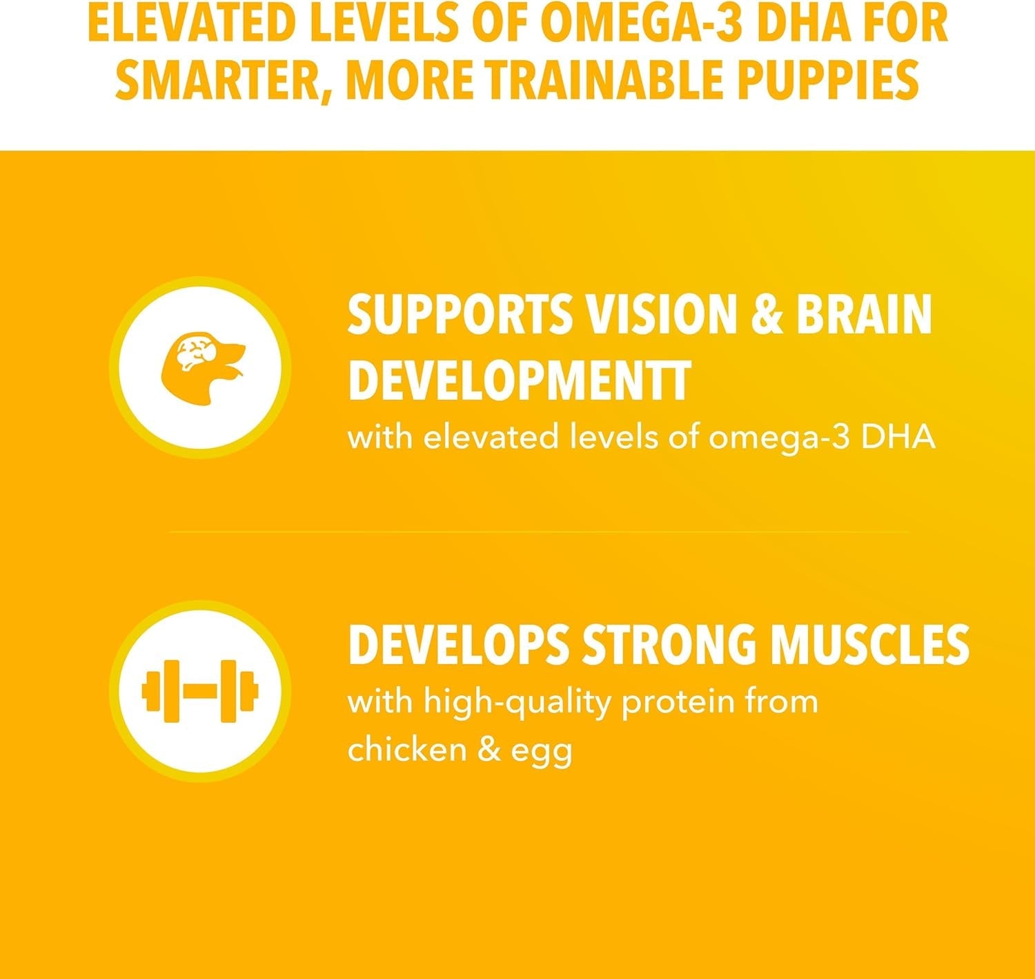 iams-proactive-health-puppy-dry-dog-food-chicken-whole-grain-15-lb-real-chicken-1-ingredient-vet-recommended-omega-3-dha-for-cognitive-vision-development-calcium-for-bones-joints