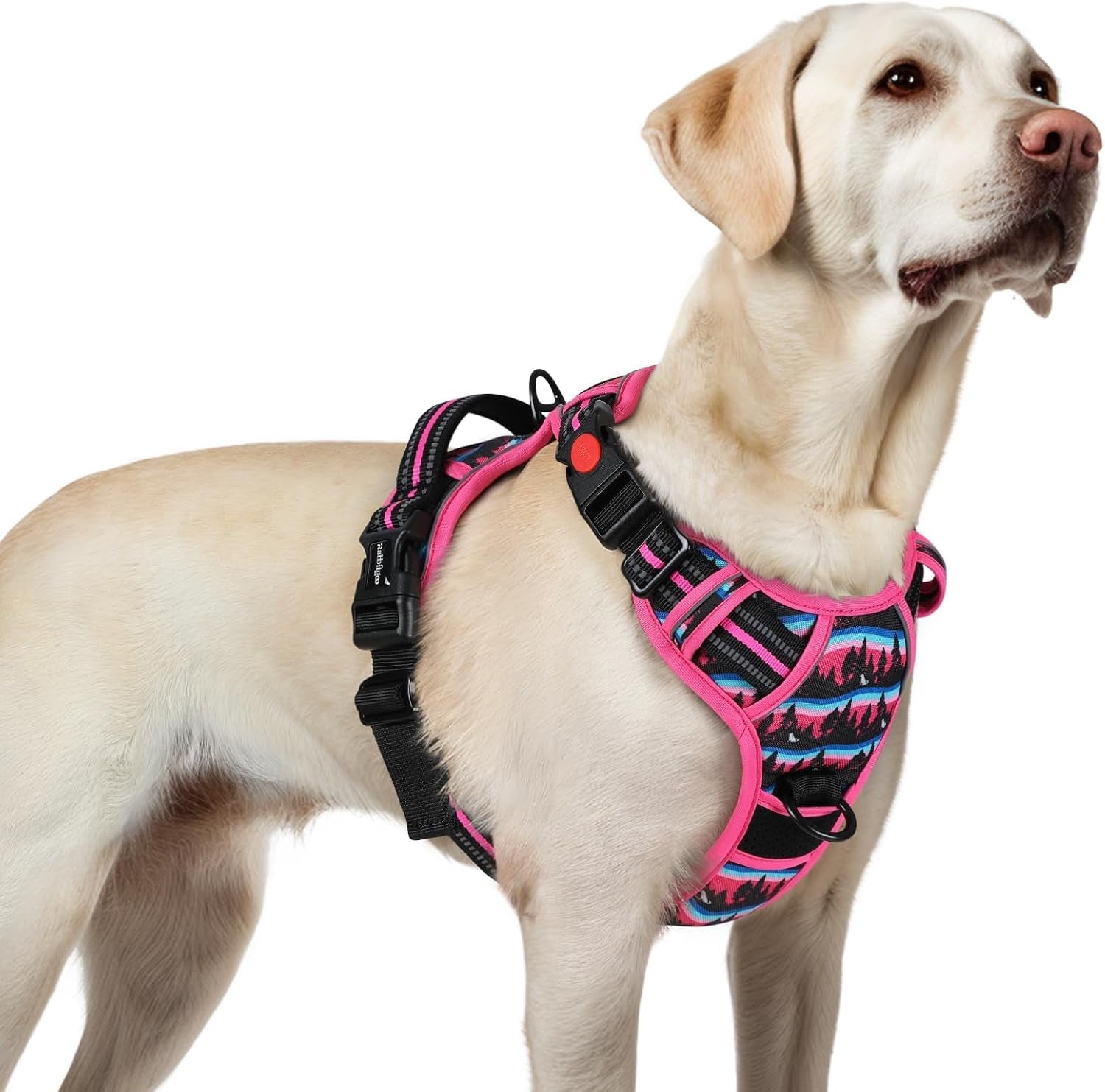 rabbitgoo-dog-harness-medium-sized-updated-easy-on-off-with-3-buckles-no-pull-no-choke-walking-with-2-clips-and-handle-adjustable-soft-reflective-blue-medium