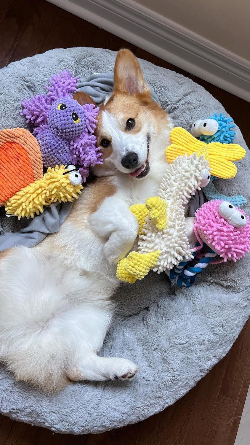 nocciola-5-packs-squeaky-dog-toy-plushies-cute-soft-squeak-crinkle-plush-stuffed-durable-pet-animal-chew-puppy-toys-for-small-meidum-large-breed