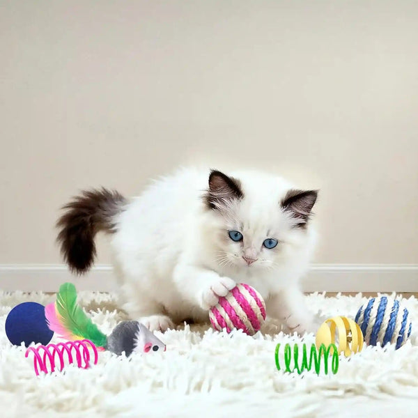 Cat Toys for Indoor Cats, 35 Packs Interactive Cat Toys Set for Kitten | Cat Toy Set with Colorful Spring, Mouse & Bell Ball, Variety Pack for Bored Kittens & Adults Self Play, Cat Toy Bulk6