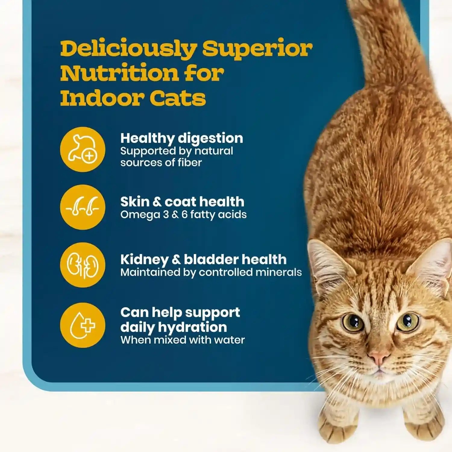 blue-buffalo-tastefuls-irresistible-gravy-experience-chicken-brown-rice-recipe-dry-indoor-cat-food-for-adult-cats-deliciously-healthy-natural-cat-food-supports-digestion-coat-health-3-lbs
