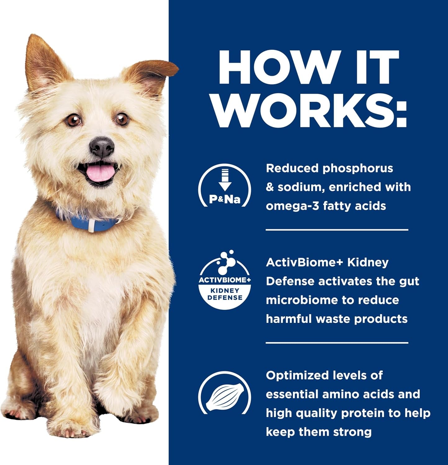 hills-prescription-diet-k-d-kidney-care-dry-dog-food-1-veterinarian-recommended-chicken-recipe-8-5-lb-bag