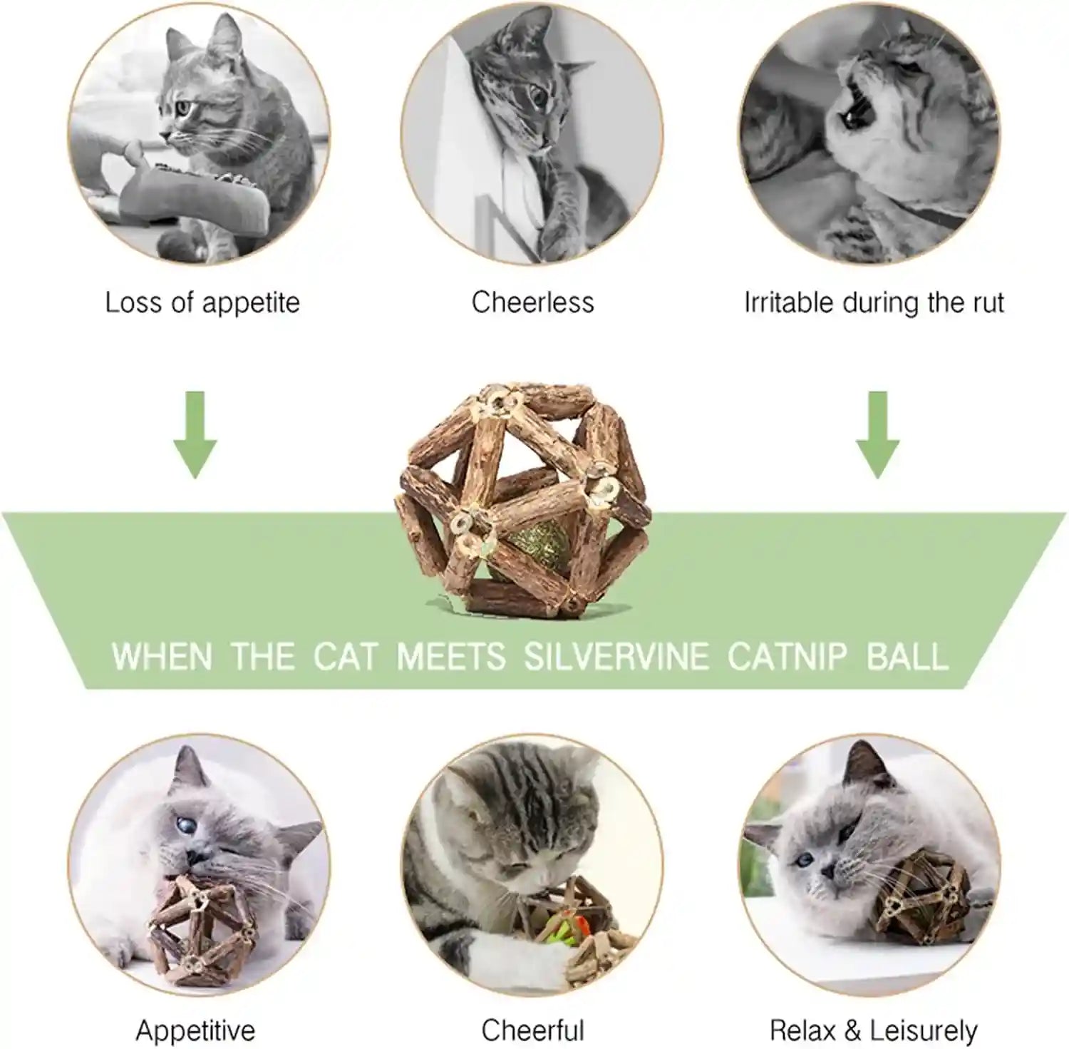 gochanmon-catnip-toys-2pcs-natural-silvervine-stick-catnip-ball-bell-ball-cat-toys-for-indoor-cats-cleaning-teeth-molar-tools-matatabi-cat-chew-toy-kitten-toys-all-breeds