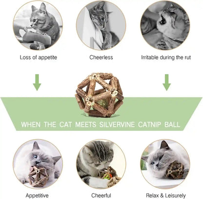 Gochanmon Catnip Toys-2Pcs Natural Silvervine Stick Catnip Ball&Bell Ball-Cat Toys for Indoor Cats- Cleaning Teeth Molar Tools Matatabi Cat Chew Toy-Kitten Toys All Breeds3