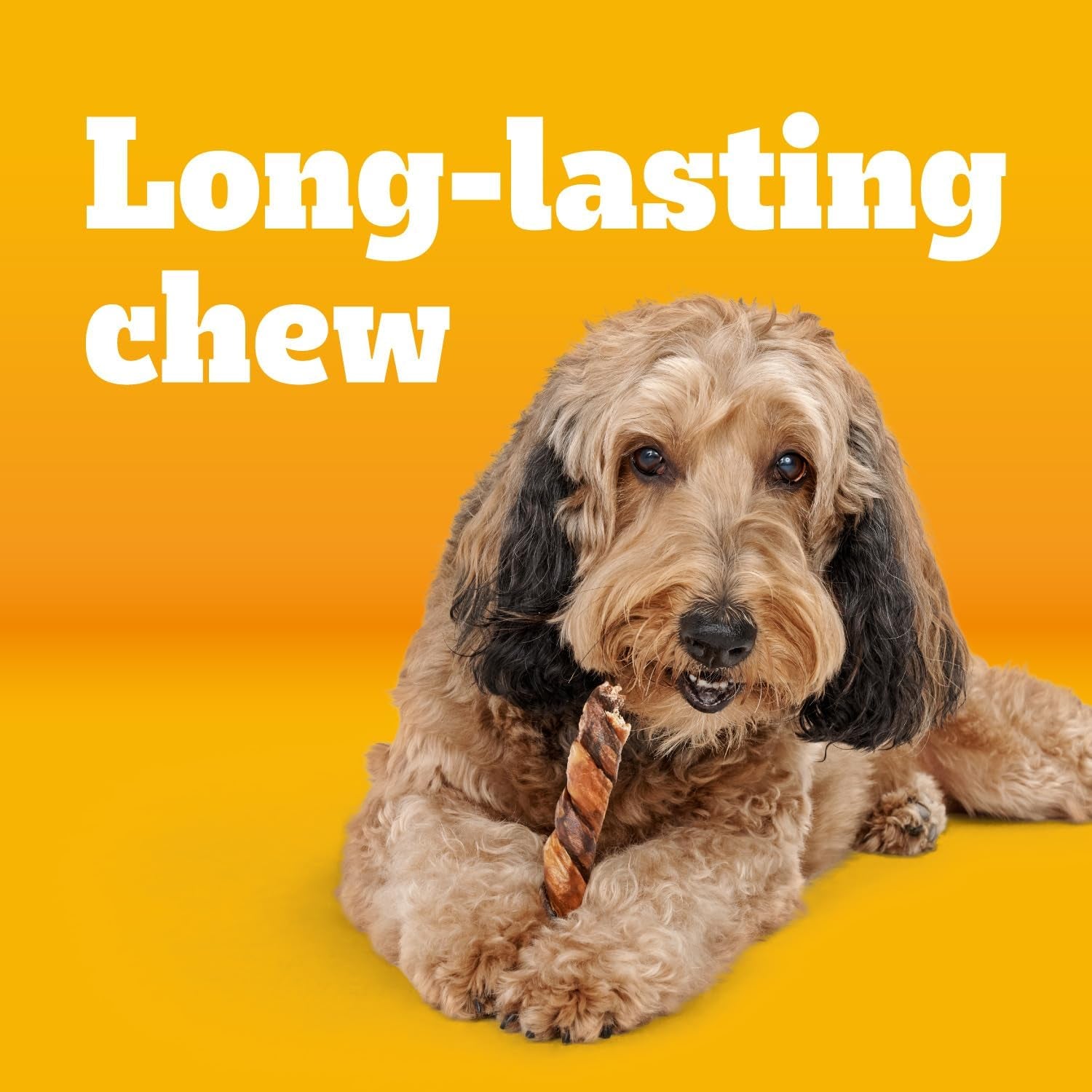 pedigree-twisty-chews-medium-large-dog-treats-chicken-beef-16-count-long-lasting-dental-chews-rawhide-free-twisted-design-helps-clean-teeth-easy-to-digest-includes-4-packs-of-4-treats