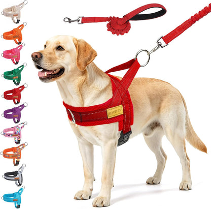 BEAUTYZOO Dog Harness No Pull, Quick Fit Dog Harness and Leash Set, Escape Proof Vest Harness with Soft Handle, Reflective Breathable Mesh Padding Harness for Medium Size Dog Training Walking, Beige M15