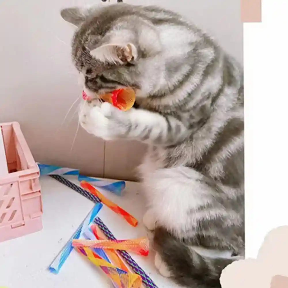 ismarten-cat-spring-toys-30-packs-cat-tube-spring-toy-interactive-cat-toy-for-indoor-cats-plastic-spring-coils-attract-cats-to-swat-bite-huntrandom-color-30-packs